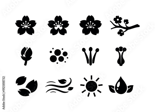 Solid vector icons of early spring blossoms: cherryblossom, appleblossom, plumblossom, branch, flowerbud, pollen, stamen, pistil,