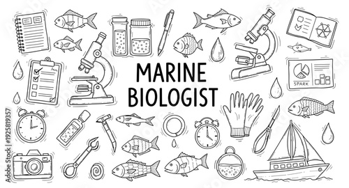 Marine biologist's essential tools and research equipment collection