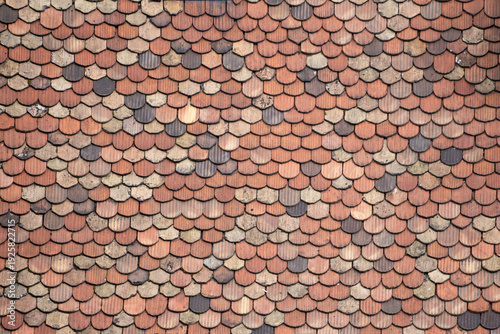 Close-up pattern of scalloped terracotta roof tiles on traditional building exterior