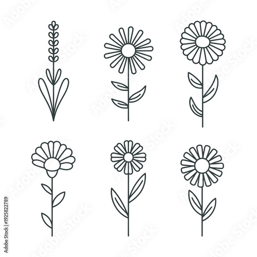 Simple outline icons of different flower types and plants