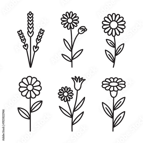 Set of six flower and plants vector illustration outline for your design