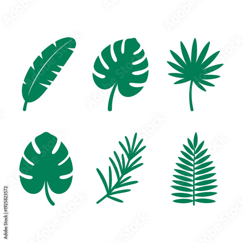 Tropical monstera and palm leaves in green for decor