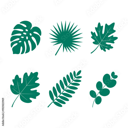 Set of green tropical leaves isolated on white background for summer design
