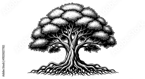 Majestic ancient oak tree with sprawling roots and dense canopy rendered in detailed black and white etching style