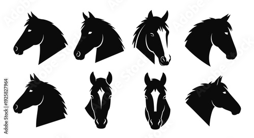 Collection of eight diverse black silhouette horse head profiles and front views showcasing various angles