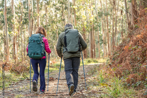 Senior couple hiking a sunlit forest trail, enjoying active retirement, companionship and wellbeing as they walk with backpacks and poles through green, peaceful woods