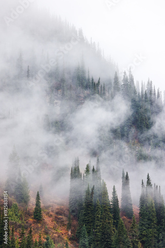 Foggy mountains