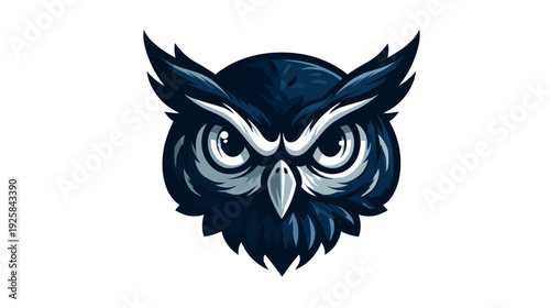 Detailed illustration of an owl's head, showing its focused gaze and detailed plumage