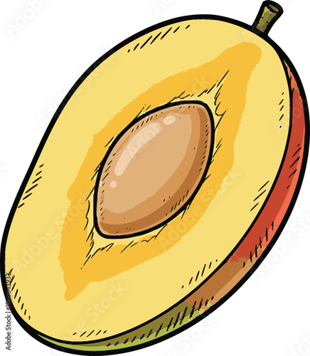 professional vector of a mango cut in half with yellow pulp and stone hand drawn style simulating ink outlines and internal fills for healthy diet