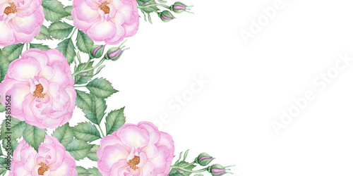 Wallpaper Mural Watercolor frame with pink roses and green leaves on dark background, elegant botanical style, perfect for wedding invitations, greeting cards, posters, and luxury branding. Torontodigital.ca