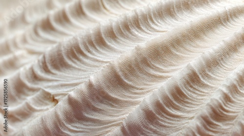 hyperrealistic close up of seashell texture under microscope, pearlescent surface with subtle ridges, soft natural lighting, high detail, minimal