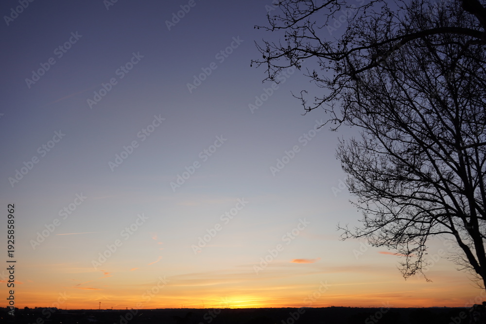 Fototapeta premium Atardecer sereno con silueta de árbol