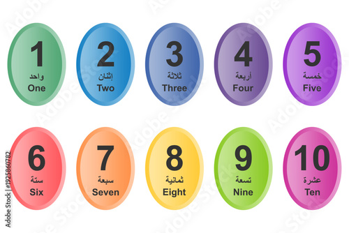 Arabic numbers 1 to 10 vector illustration. Colorful flat design bilingual English and Arabic counting flashcards for preschool kids educational aid, learning materials, and classroom posters.