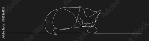 Minimalist continuous line drawing of a sleeping cat curled up in a serene pose on a dark background.