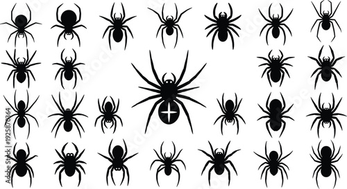 Collection of black spider silhouettes, various species, arachnid icons, creepy crawly insects, halloween design elements, isolated vector graphic set, poisonous spiders, garden spider shapes