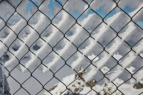 Snow covered fence pattern in alpine winter, Stoos