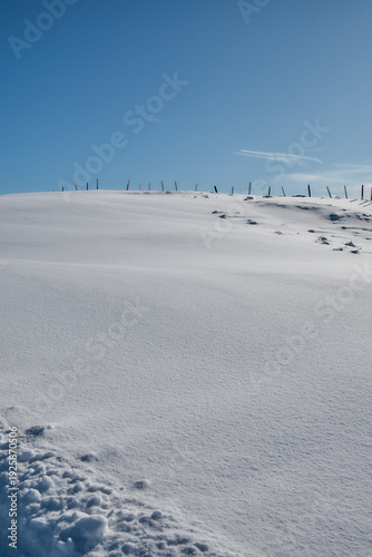 Minimalist snow covered alpine slope with ski tracks, Stoos Switzerland