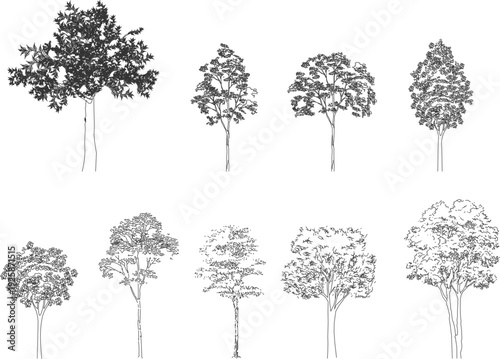 Architectural vector collection of various tree species in elevation view, featuring detailed line art sketches for landscape design and urban planning.