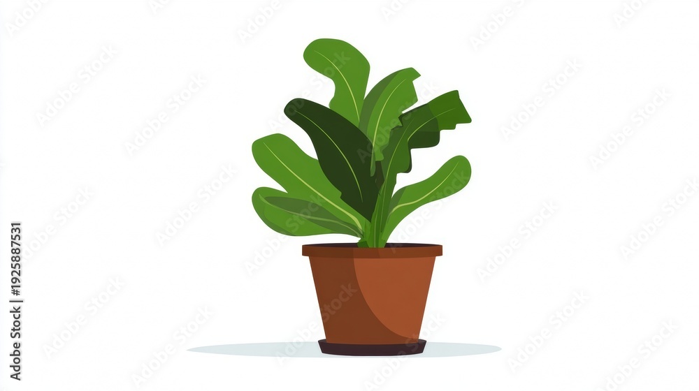 Fototapeta premium A potted plant with large green leaves.