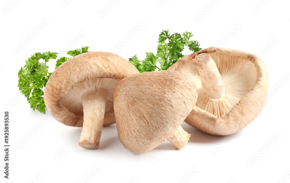 Fototapeta premium Fresh mushrooms and parsley on white background
