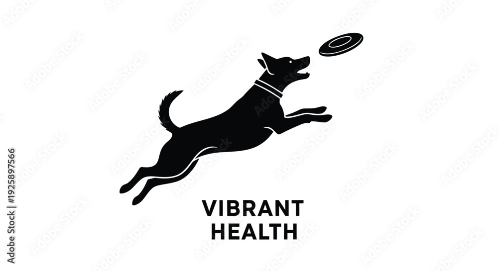Obraz premium Black dog jumping for frisbee icon with Vibrant Health text