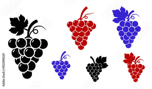 Set of colorful grape bunches in flat design vector illustration