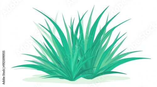 Green grass or plant illustration on white background.