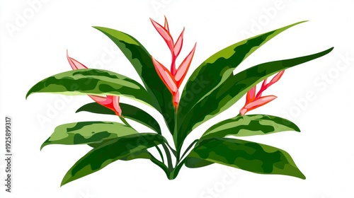 Tropical plant with vibrant red flowers and green leaves.