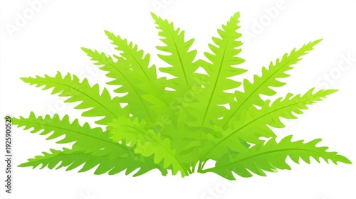 Bright green fern leaves isolated on white background.