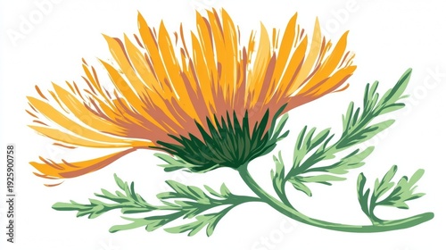 Vibrant Yellow Flower with Green Leaves on White Background.