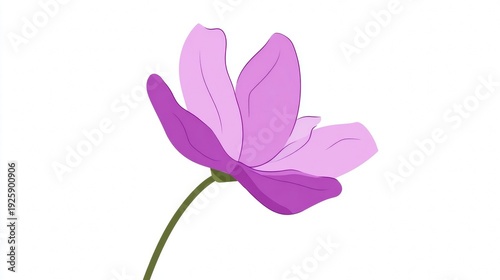 Beautiful Purple Flower Illustration on White Background.