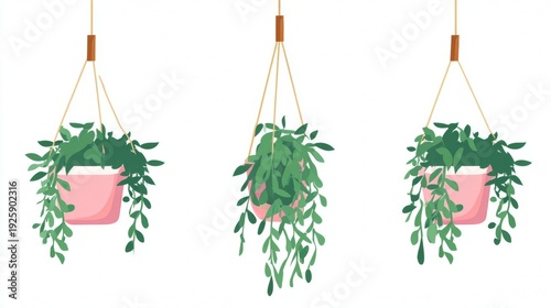 Three hanging plants in pink pots with green leaves.