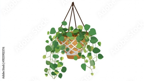 Hanging Potted Plant with Green Leaves and Decorative Lattice.