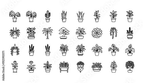Indoor Plants Thin Line Icon Set 30 Pixel Perfect Botanical Flower Pot Outline Pictograms