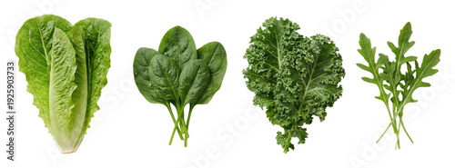 Fresh leafy greens market stall food top view isolated on transparent background