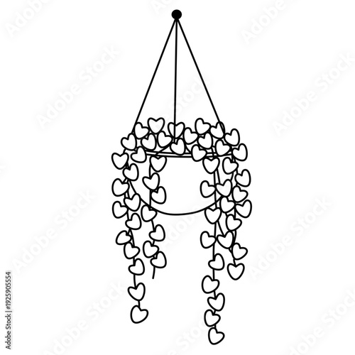 Aesthetic ornamental plant silhouettes