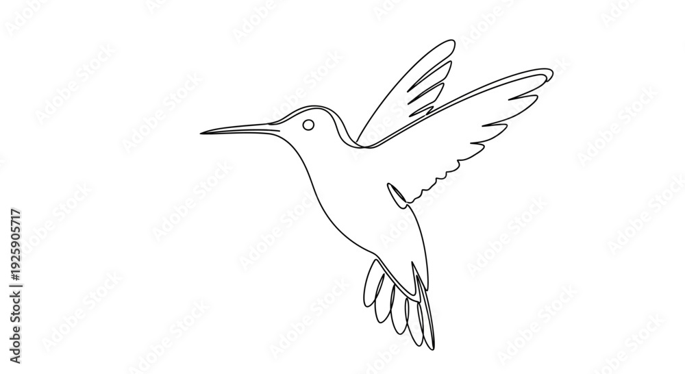 Fototapeta premium Elegant Hummingbird Line Art Drawing with Delicate Wings and Beak.