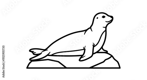 Simple line art illustration of a happy seal resting on a rock.