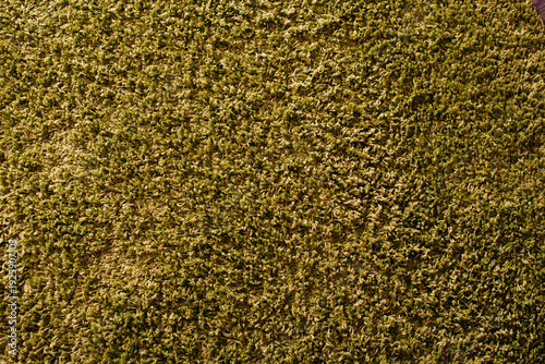 Green shaggy carpet texture close up background