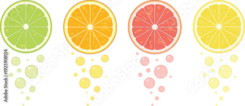 Colorful Citrus Fruit Slice Collection with Lime Orange Grapefruit and Lemon Cross Sections Vector Illustration Isolated on White Background