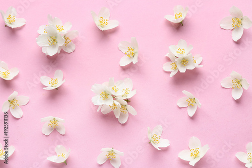 Beautiful jasmine flowers o...