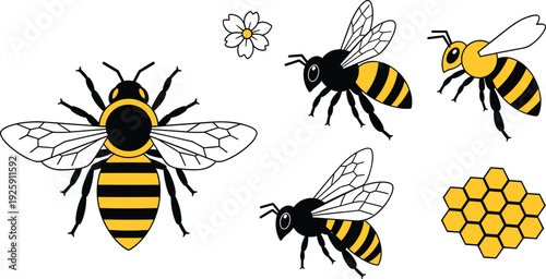 Honey Bee Vector Illustration Set with Flying Bumblebee Icons Honeycomb Pattern and Spring Flower for Nature and Apiary Design