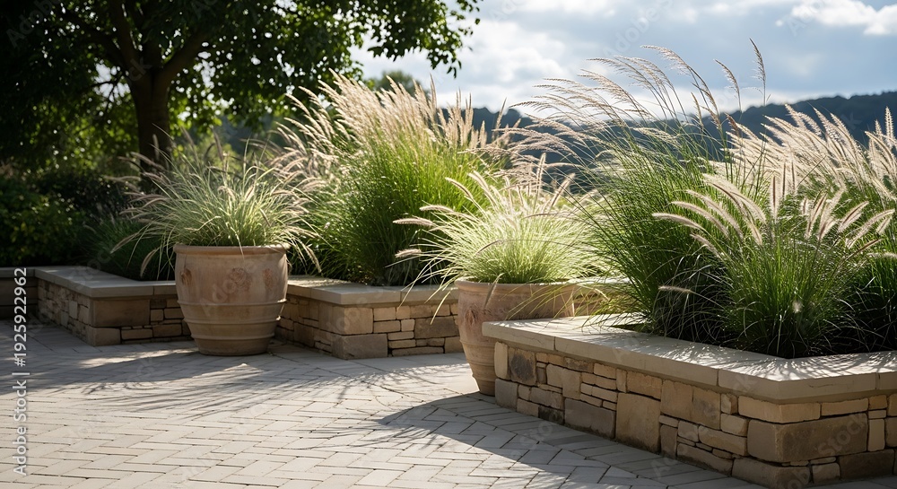 Fototapeta premium Ornamental grasses in terracotta pots on a stone patio landscape design