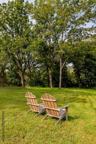 Two Wooden Adirondack Chairs on Green Lawn Under Tall Trees in Peaceful Backyard