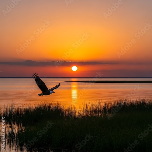 Eagles Flight at Sunset - A Serene Coastal Scene.