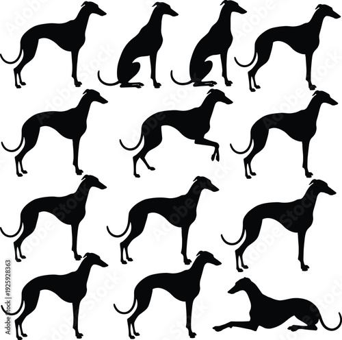 Set of black silhouettes featuring a greyhound dog in various graceful poses including standing, sitting, running, and lying down isolated on a white background
