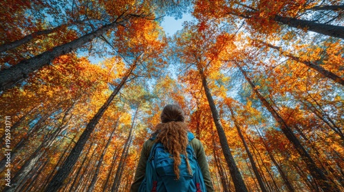 Explore adventure outdoor in National Park. A woman wearing a green jacket and blue backpack standing in a forest of tall trees, their leaves a vibrant mix of orange and yellow.