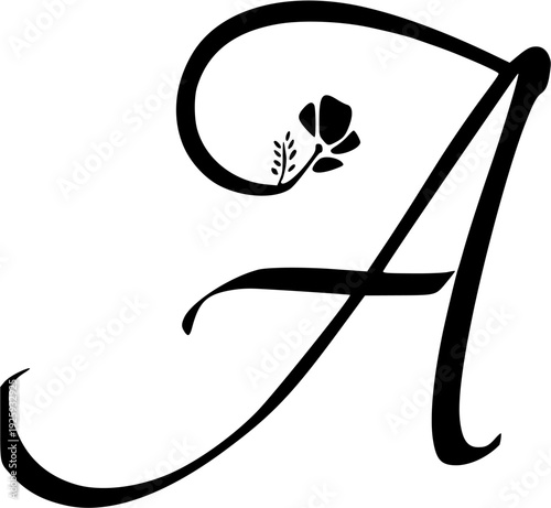 elegant alphabet monogram with floral ornament