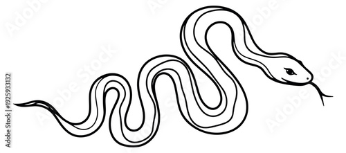 Line art illustration of a snake depicting a winding body for animal and wildlife designs
