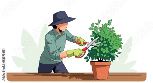 Gardener pruning a green potted plant with large scissors on a wooden table outdoors